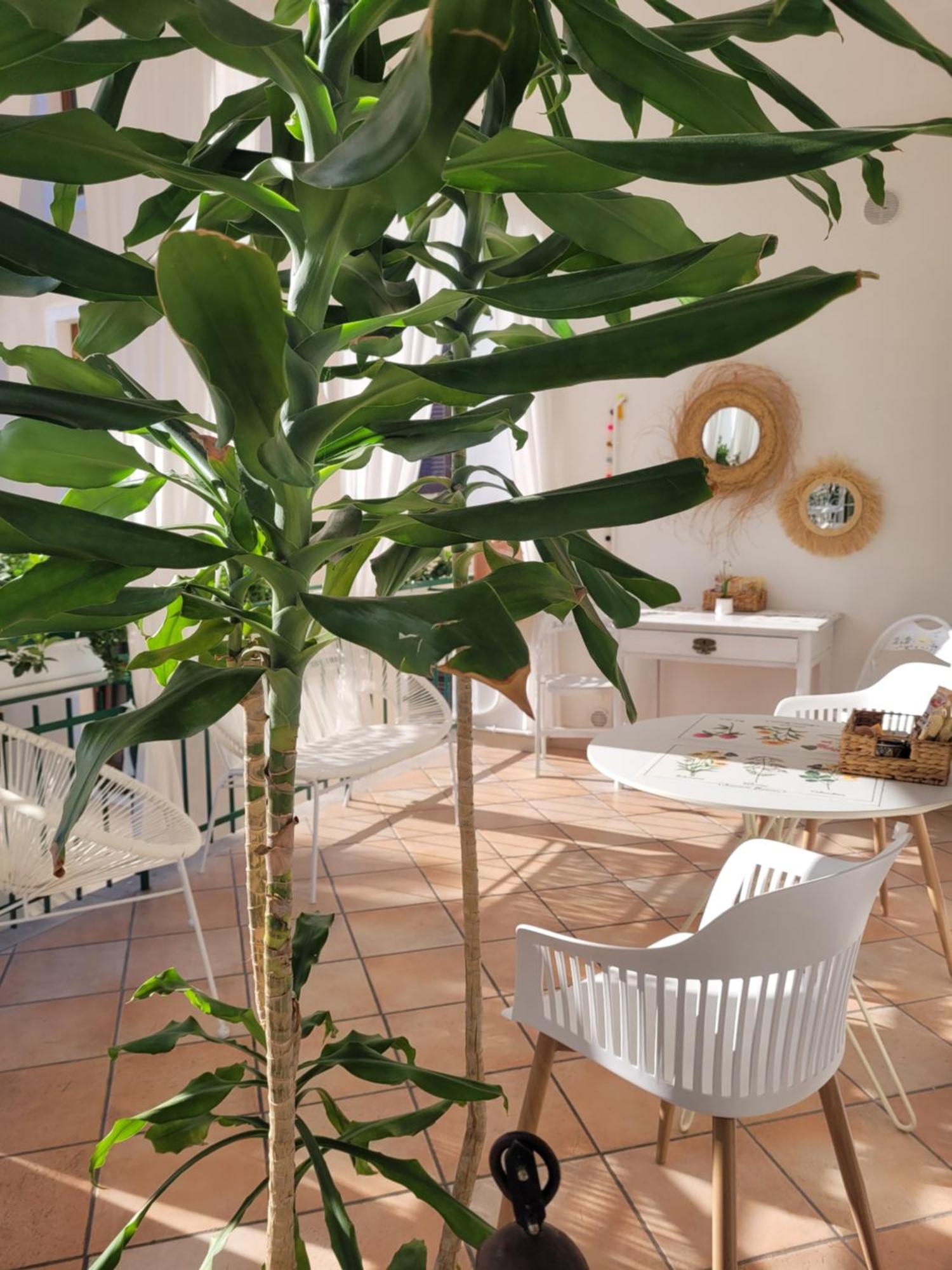 B&B Dal Nonno Riva del Garda Kültér fotó